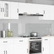 VidaXL Küchenrückwand 2 Stück transparent 110 x 50 cm Hartglas