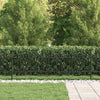 VidaXL Spießbogenzaun Schwarz 200 x 130 cm pulverbeschichteter Stahl