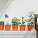 Vidaxx Blumentopf 100 Stück Terrakotta ø 15 x 12,5 cm Kunststoff