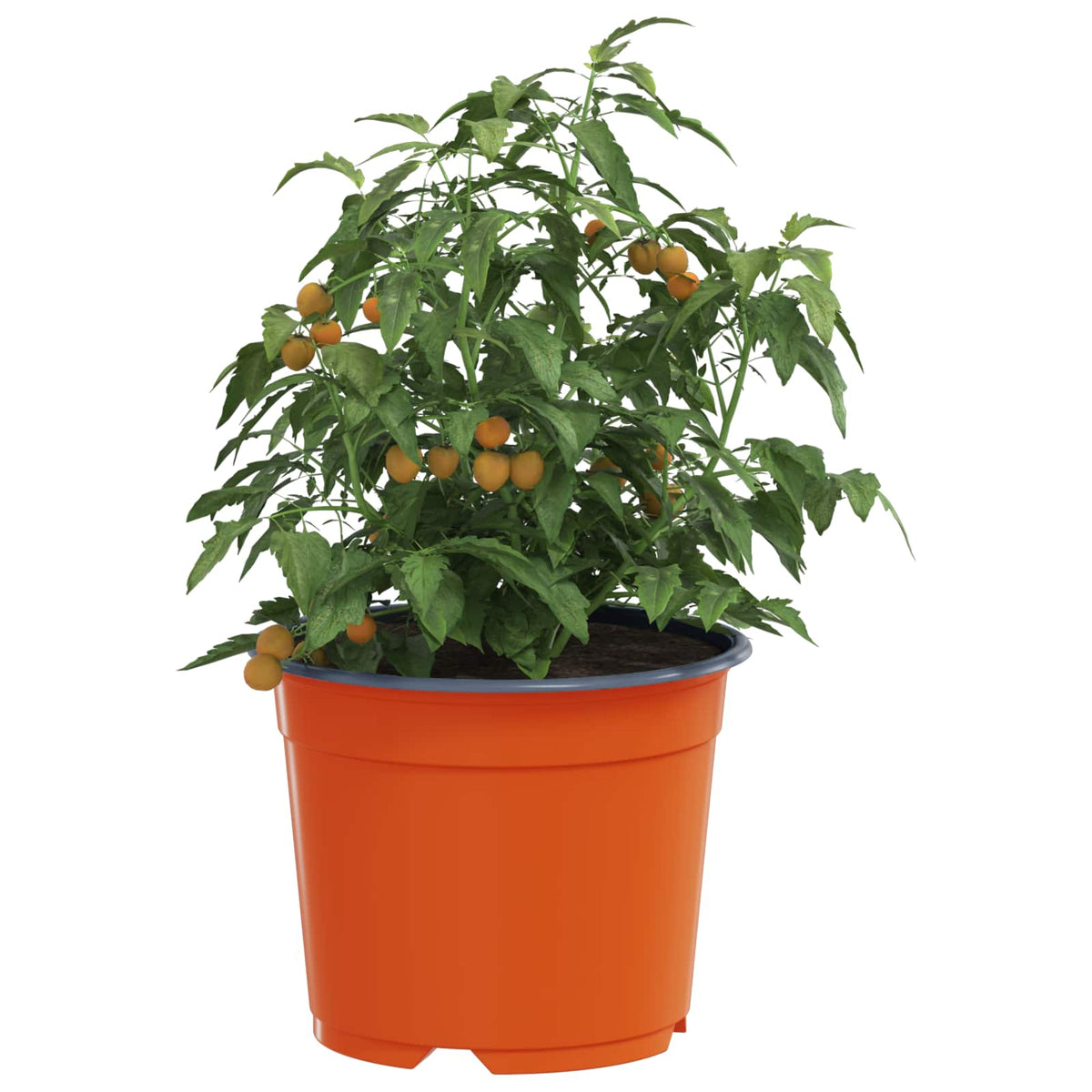 Vidaxx Blumentopf 200 Stück Terrakotta ø 15 x 12,5 cm Kunststoff