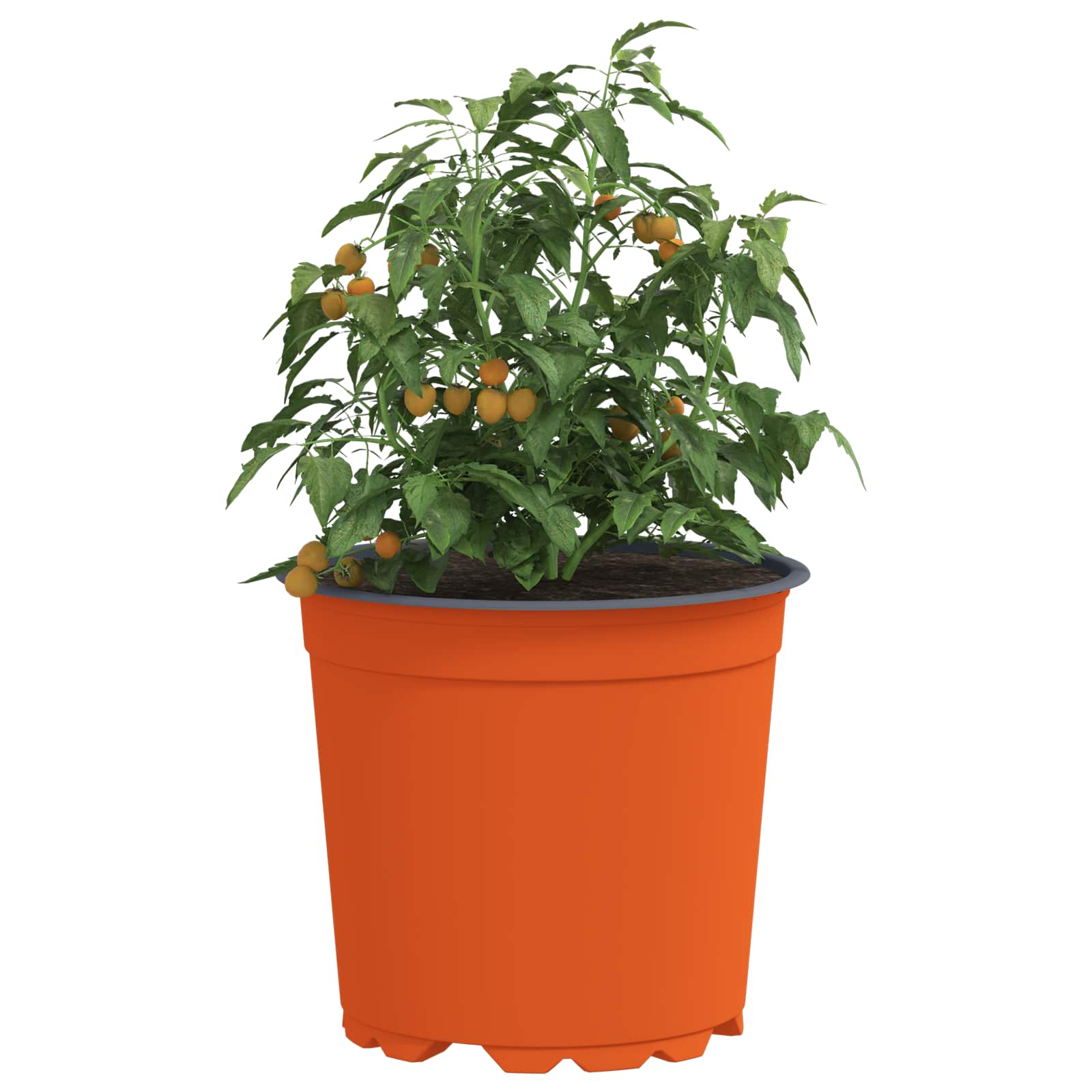 Vidaxx Blumentopf 50 Stück Terrakotta ø 15 x 13 cm Kunststoff