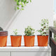 Vidaxx Blumentopf 100 Stück Terrakotta ø 15 x 13 cm Kunststoff