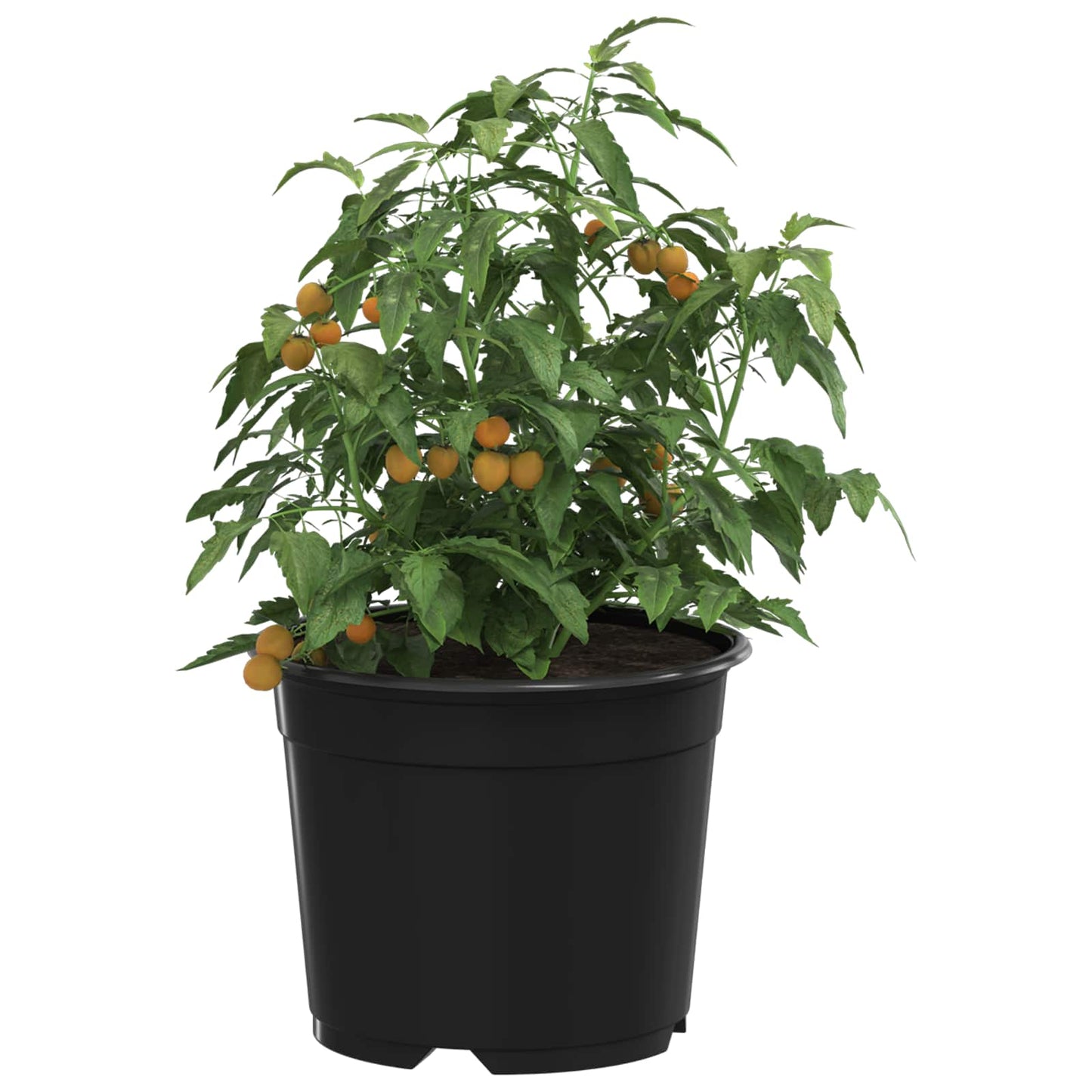 Vidaxx Blumentopf 100 Stück schwarz ø 15 x 12,5 cm Kunststoff