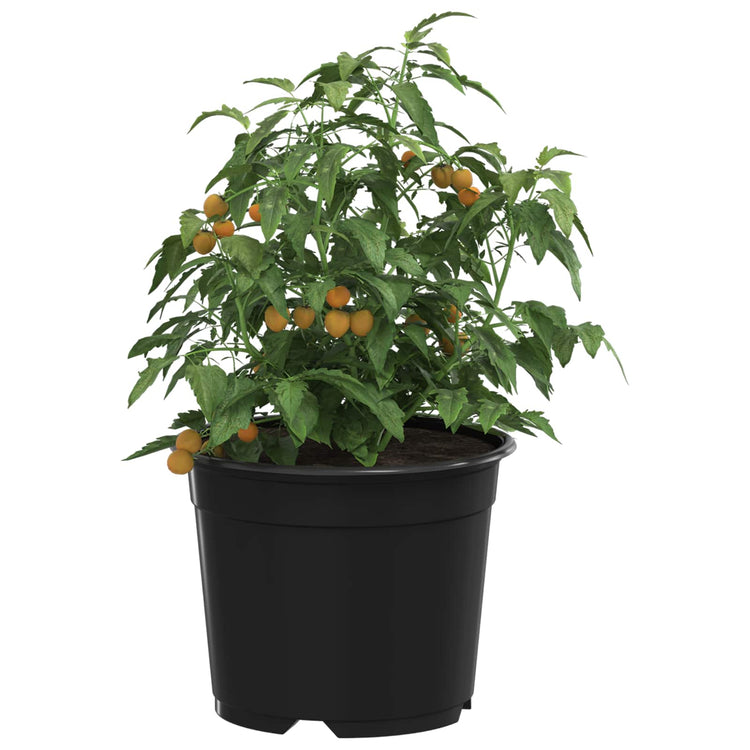 Vidaxx Blumentopf 100 Stück schwarz ø 15 x 12,5 cm Kunststoff