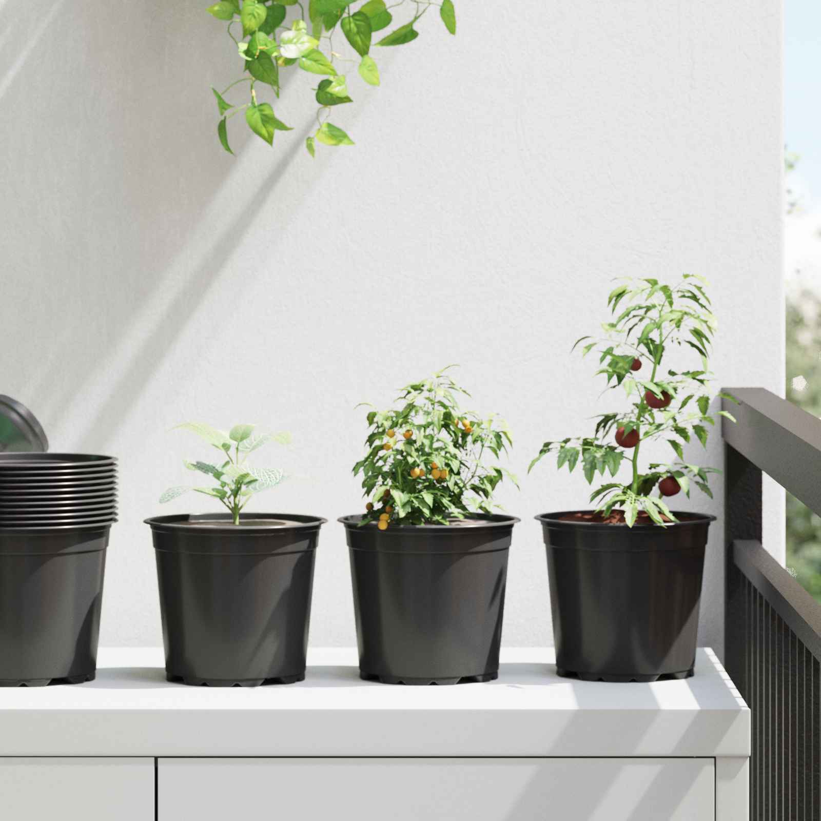 Vidaxx Blumentopf 50 Stück schwarz ø 15 x 13 cm Kunststoff