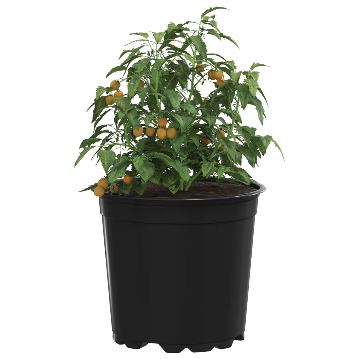 Vidaxx Blumentopf 50 Stück schwarz ø 15 x 13 cm Kunststoff