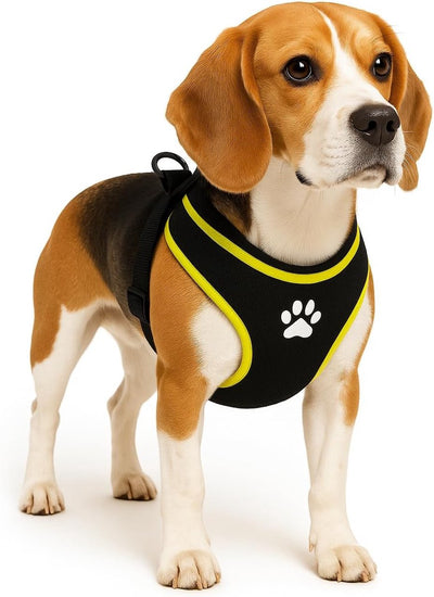 Flamingo Hundegeschirr – Hundegeschirr – Hundegeschirr Anti-Pull – Hundegeschirre – Hundegeschirr Anti-Pull – Step Go Tasha – Schwarz – Größe M – A: 53 cm B: 65–75 cm x 20 mm x 5 mm