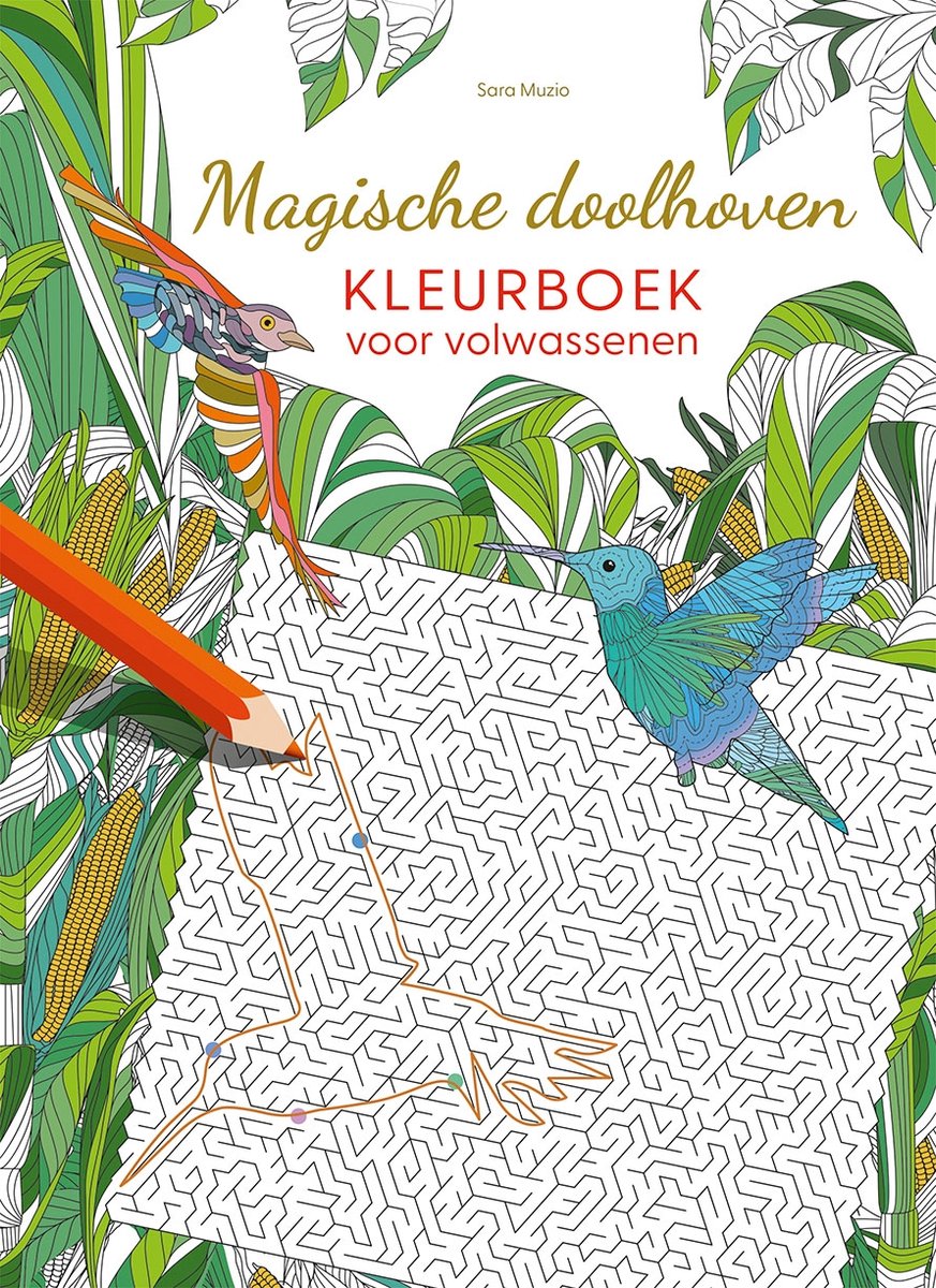 Malbuch „Deltas magische Labyrinthe“ für Erwachsene