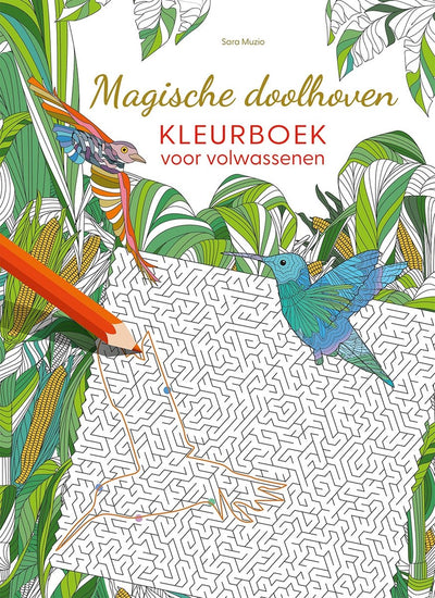 Malbuch „Deltas magische Labyrinthe“ für Erwachsene