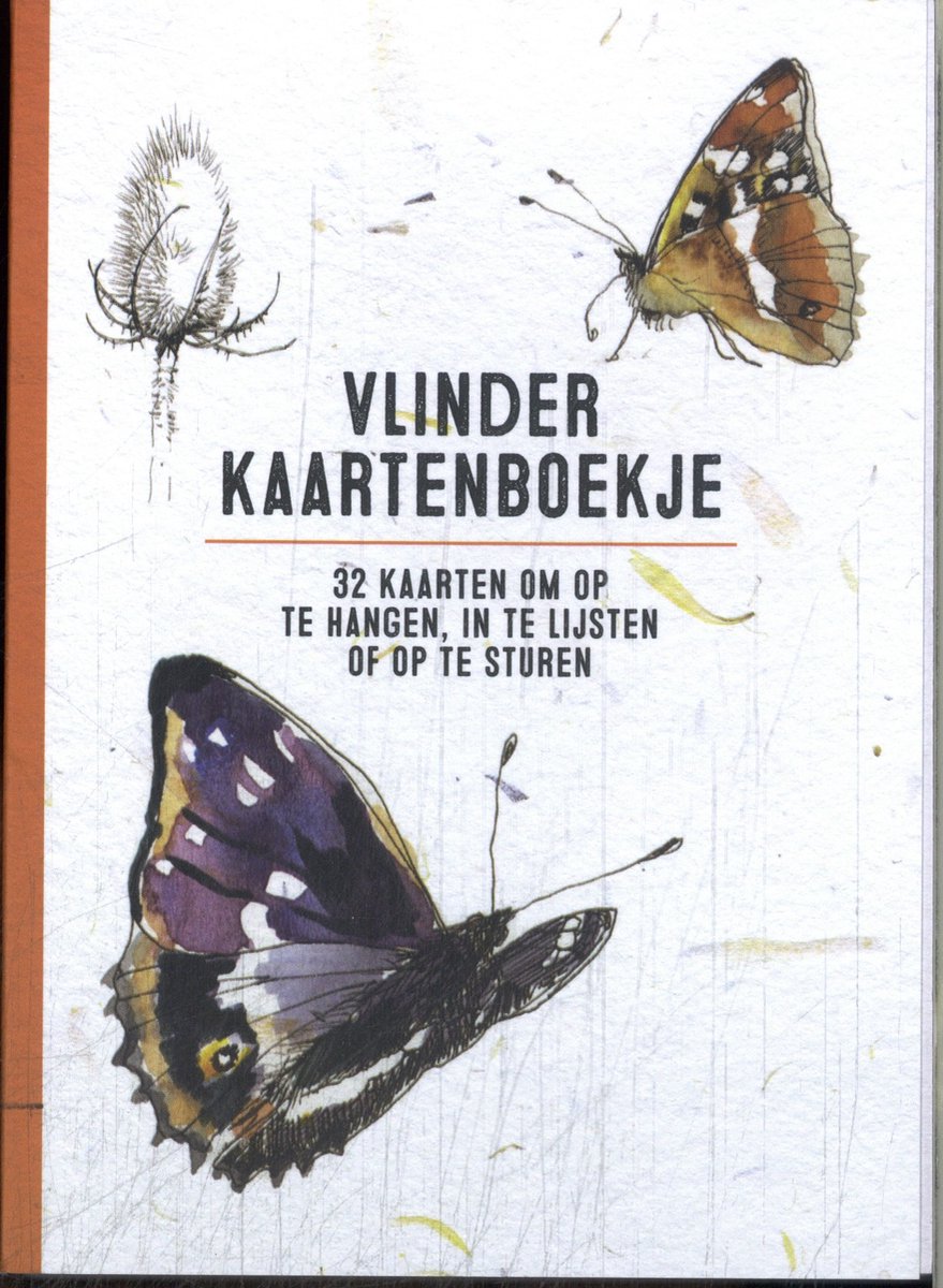 Schmetterlingskartenbuch