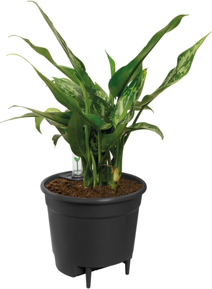 Elho Selbstbewässerungseinsatz 17 – Innentopf mit Wasserzähler – ø 17,0 x H 15,8 cm – Living Black