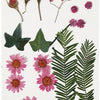 Getrocknete Blüten und Blätter hellrot, 19dlg.