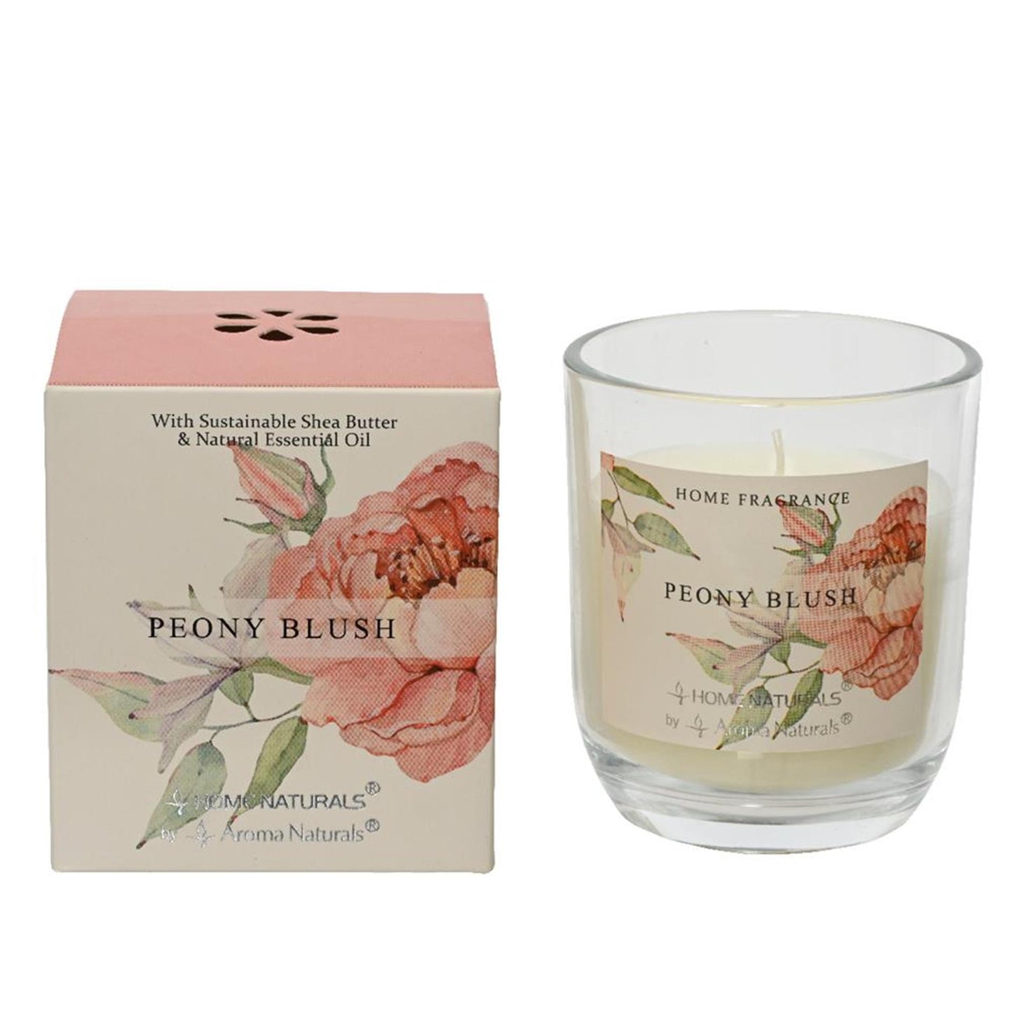 Decoris Duftkerze Pfingstrose Blush H9cm
