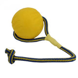 Starmark Swing 'n Fing Durafoam Fetchball auf Kabel - afbeelding 1