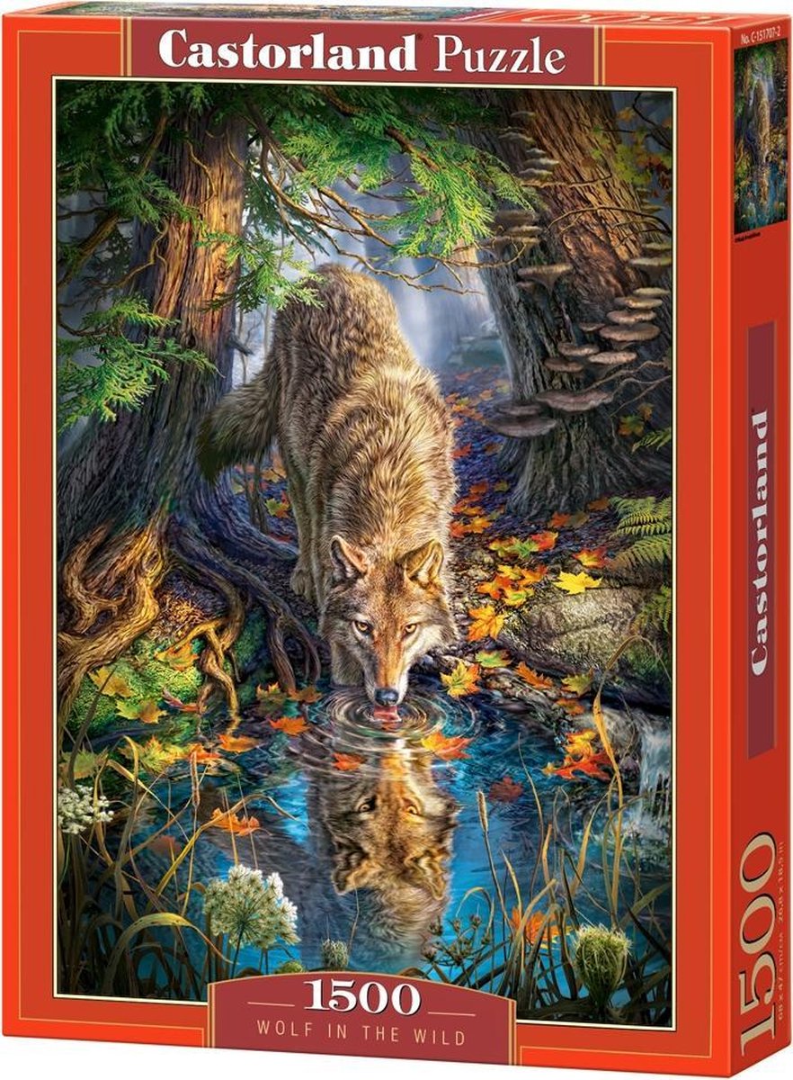 Selecta Castorland spielen Puzzle Wolf in freier Wildbahn, 1500st.