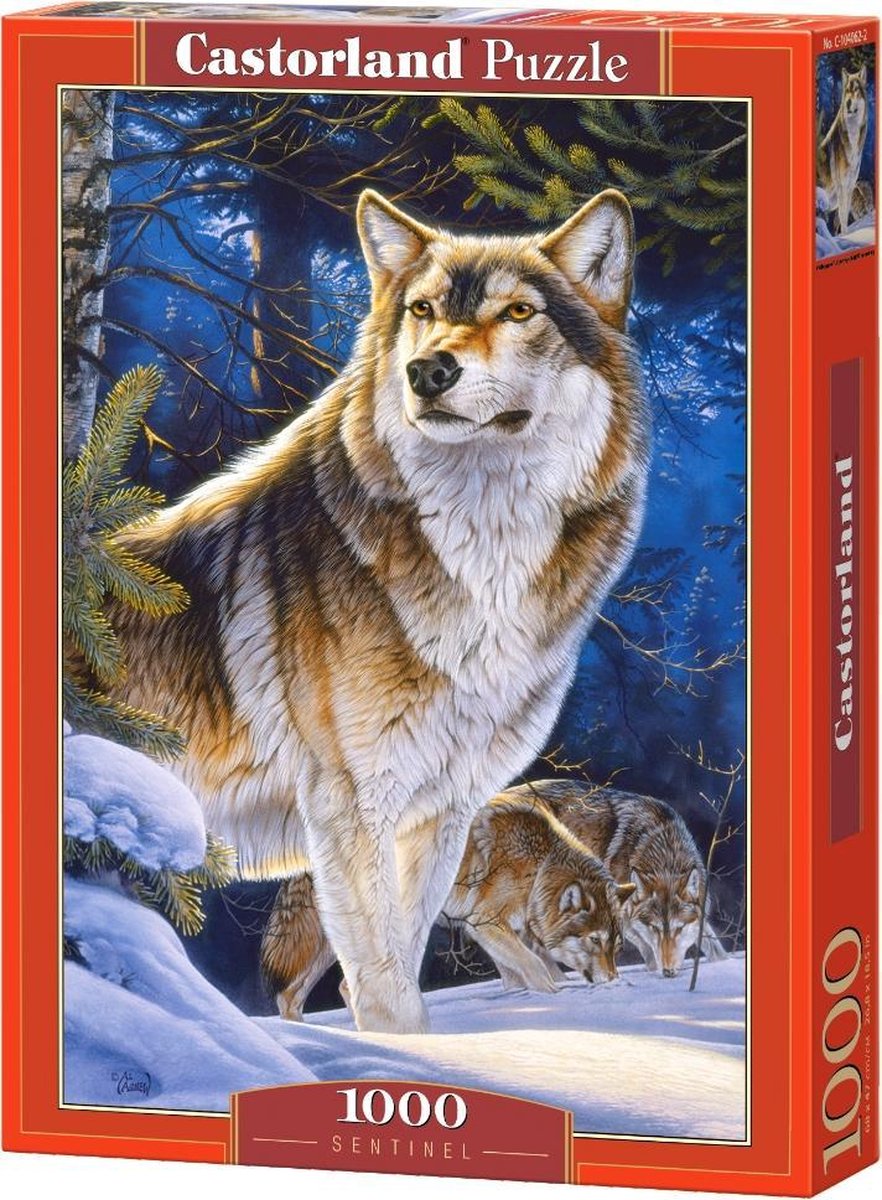 Castorland Sentinel – Puzzle – 1.000 Teile – Satin-Finish – perfekte Passform – europäische Qualität