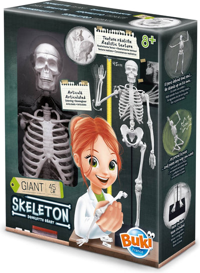 Buki Frankreich Buki - Skelett 45cm