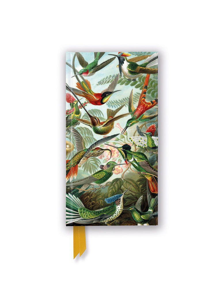 Flammenbaum-Slimline-Notizbücher – Ernst Haeckel: Kolibris (foliertes Slimline-Notizbuch)