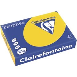 Farbiges Papier Trophäe Clairfontaine 1780 80 g m2 A4 Pastellfarbe Goldgelb
