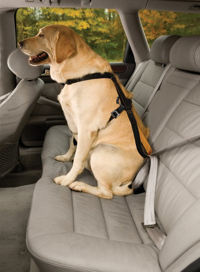 Kurgo Hundegeschirr Tru-Fit Smart Harness Nylon schwarz Größe XS