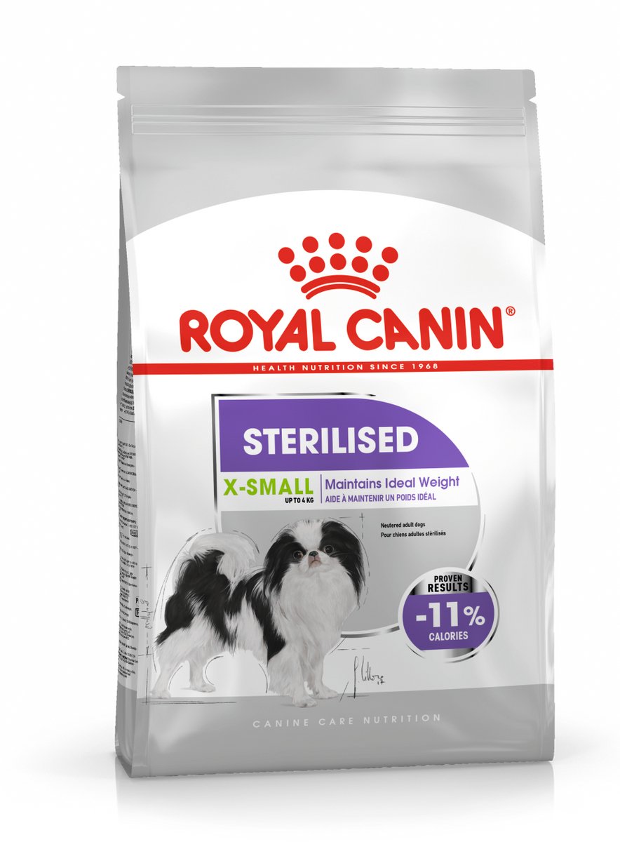 Königlicher Hund