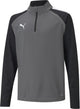 Puma Teamliga 1 4 Zip Top Jr Unisex-Sportshirt – Smoked Pearl – Weiß