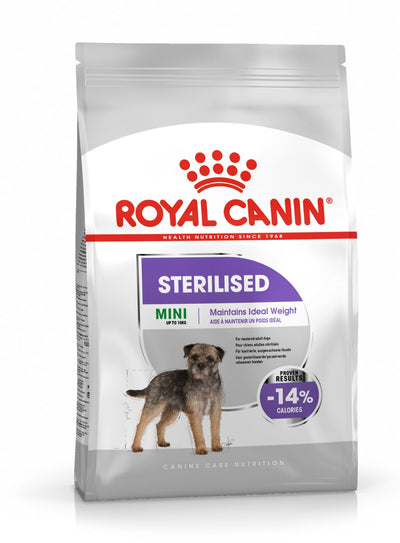 Königlicher Hund