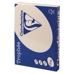Farbiges Papier Trophäe Clairfontaine 1242 120 g m2 A4 Pastellfarbe Elfenbein