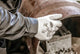 Nitras Safety Cut Protection Glove Cut5 Gr. 7