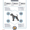 Veterinärdiät Dog Mastroentric Figestion Advance