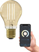 Calex Smart-Lampe – WLAN-LED-Filament-Beleuchtung – E27 – intelligente Glühbirne Gold – dimmbar – warmweißes Licht – 7 W