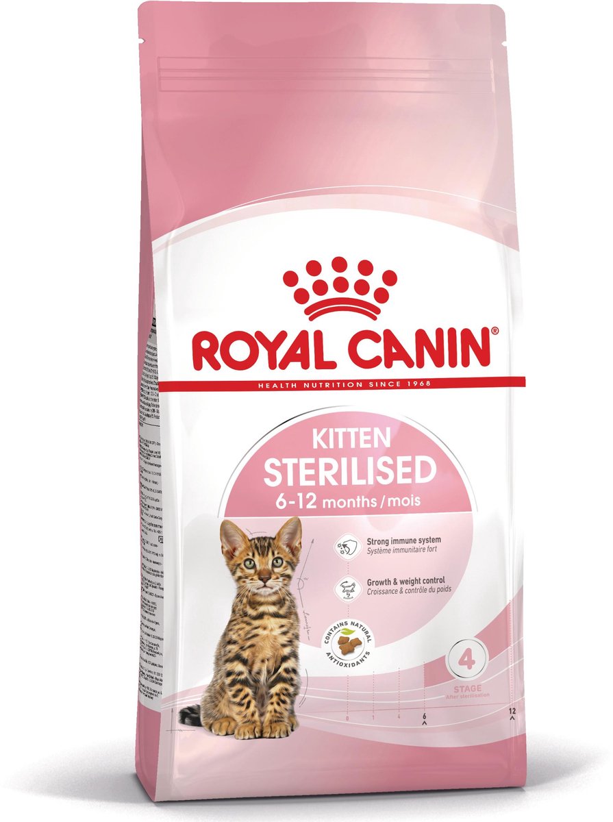 Königlicher Hund