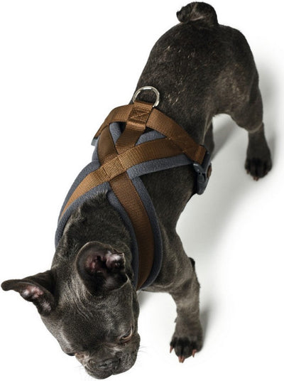 Hunter Hundegeschirr London Comfort 48-56 cm braun Größe S M