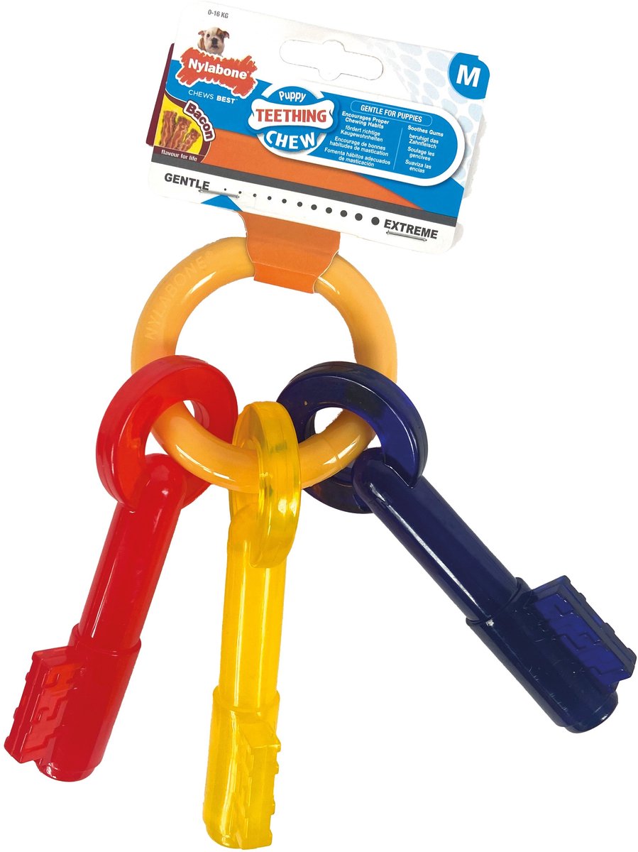 Nylabone Welpenkau -Bissschlüssel Speckgeschmack