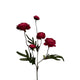 Roberts Collection Kunstblume Ranunkel burgunderrot 52 cm