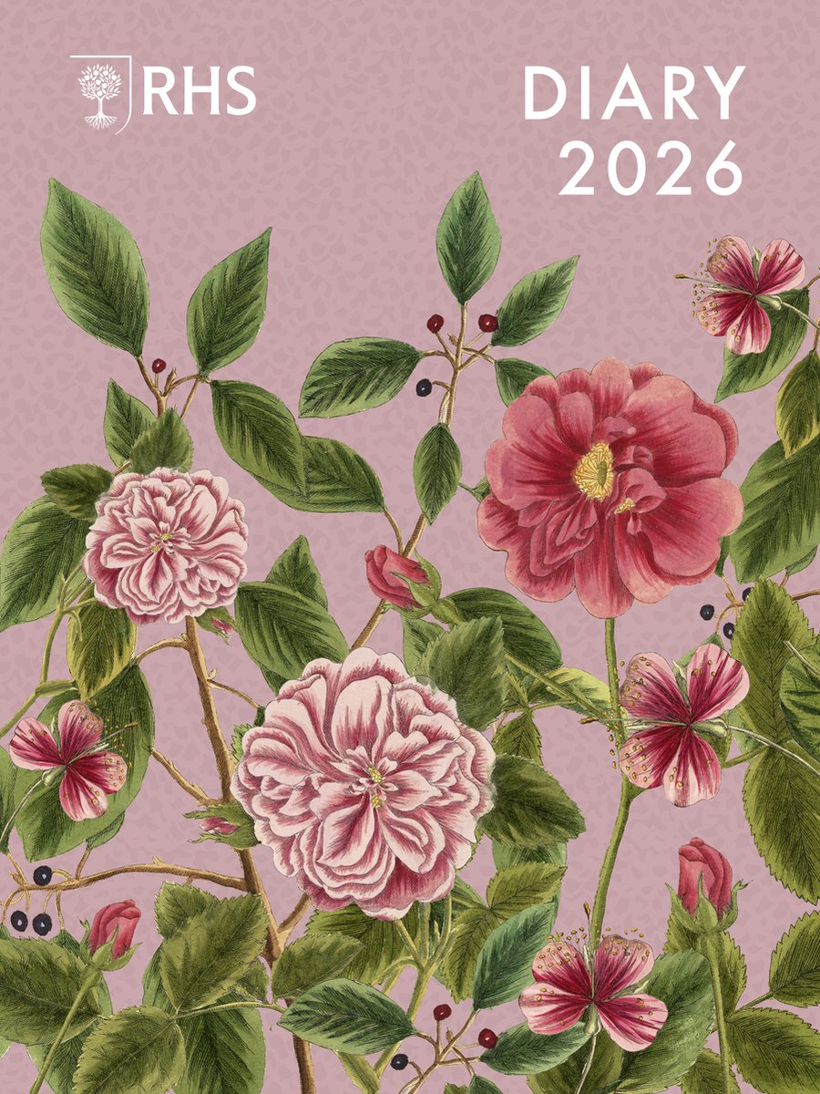 Rhs Schreibtischkalender 2026