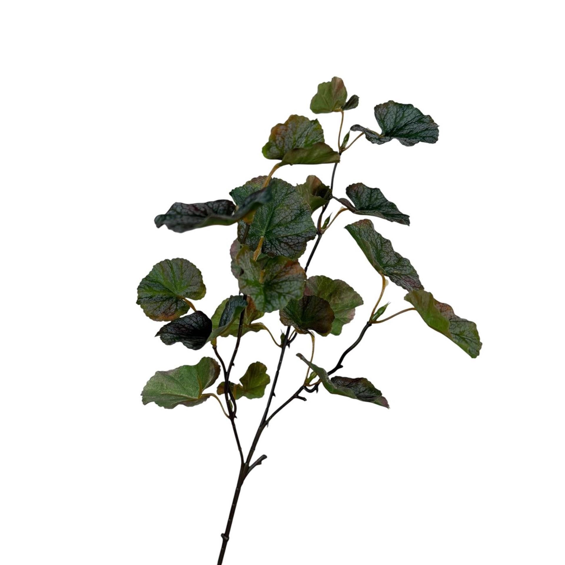 Roberts Collection künstlicher Zweig Garaniumblatt kaffeegrau 55 cm