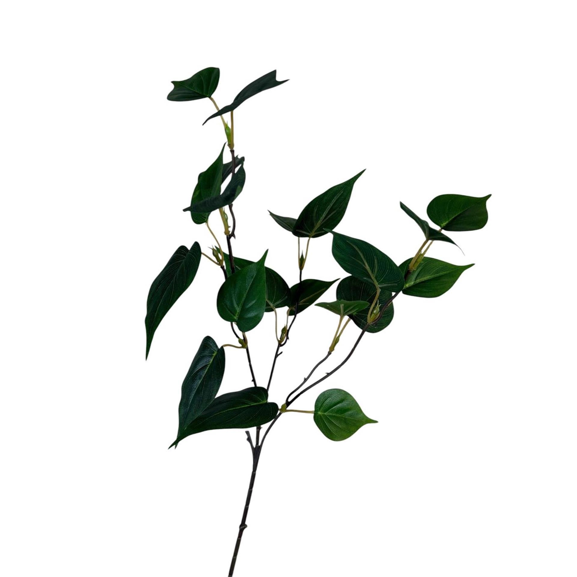 Roberts Collection künstlicher Zweig Sgindapsus-Blatt grün 55 cm