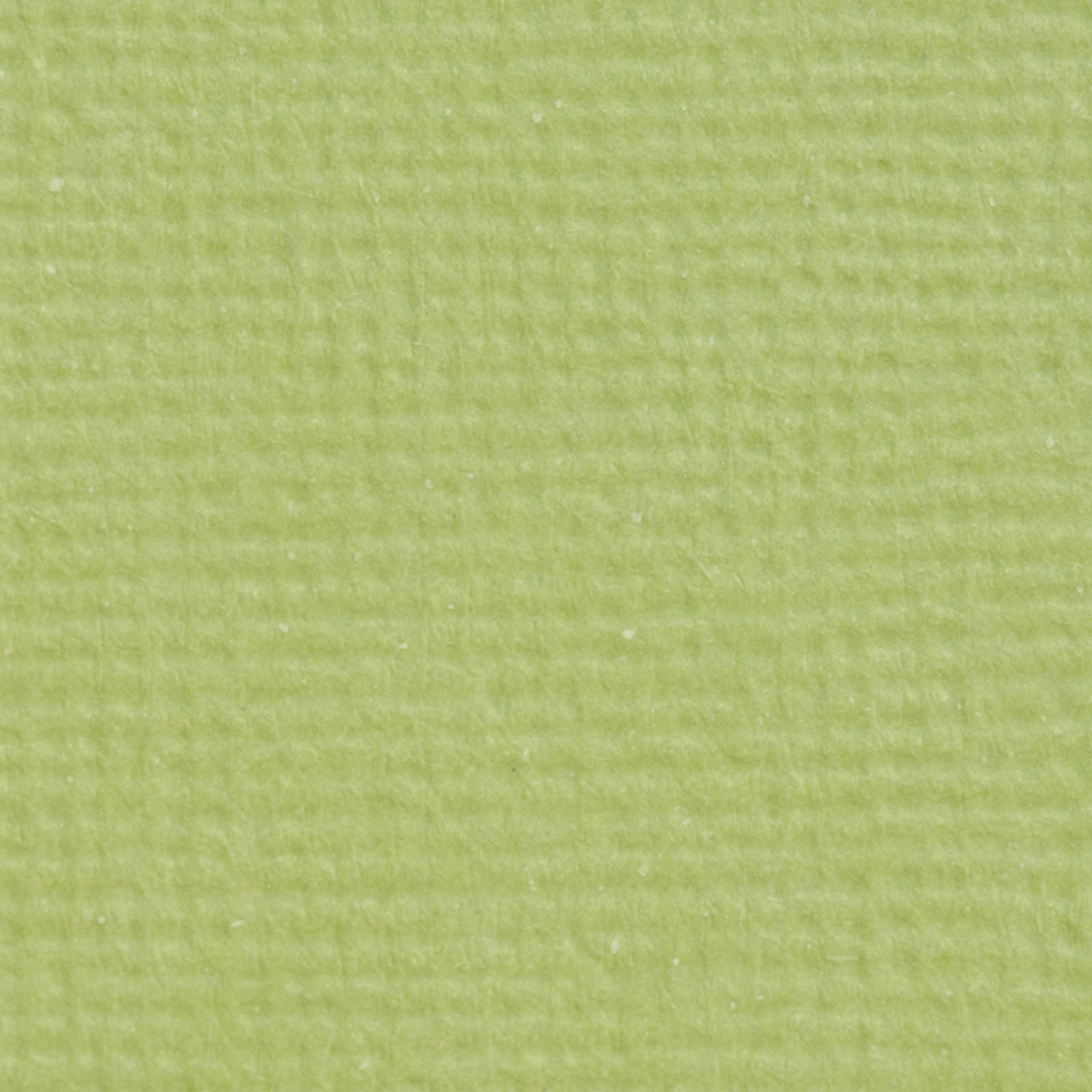 Craft Perfect von Tonic Studios Craft Perfect • Klassischer A4-Karton, 10 Stück, Pistaziengrün