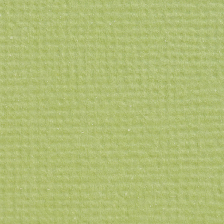Craft Perfect von Tonic Studios Craft Perfect • Klassischer A4-Karton, 10 Stück, Pistaziengrün