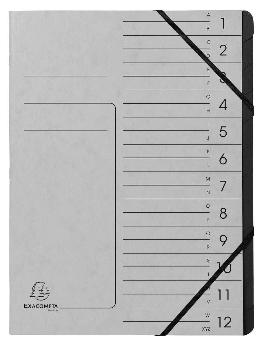 Exacompta 541211e, Projektmappe, A4, Karton, grau, 355 g m², Gummiband