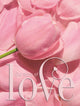 Gästebuch Hochzeitsliebe Luxus Hardcover für 250 Gäste