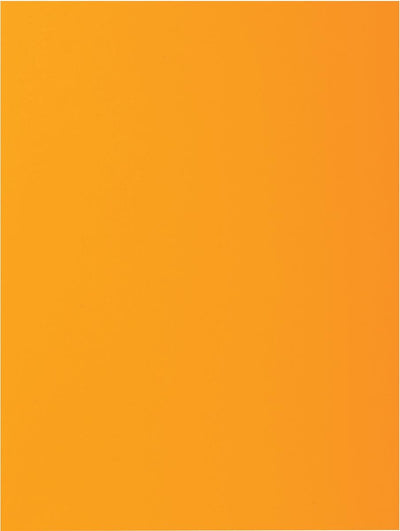 Exacompta Rock''s 80 – Packung mit 100 Einlegemappen 22 x 31 cm für A4 – Ocker – 800026e