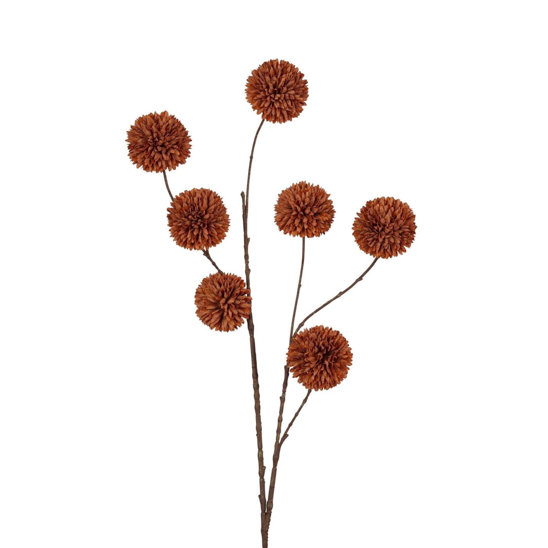 Roberts Collection Kunstblumen-Pompom-Zweig, 98 cm, helles Kaffeebraun