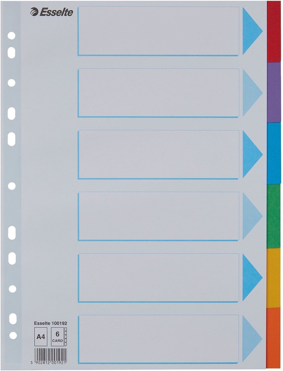 Esselte - Tabs A4 11r Karton 6-teilig mit Deckblatt | 20 Stück