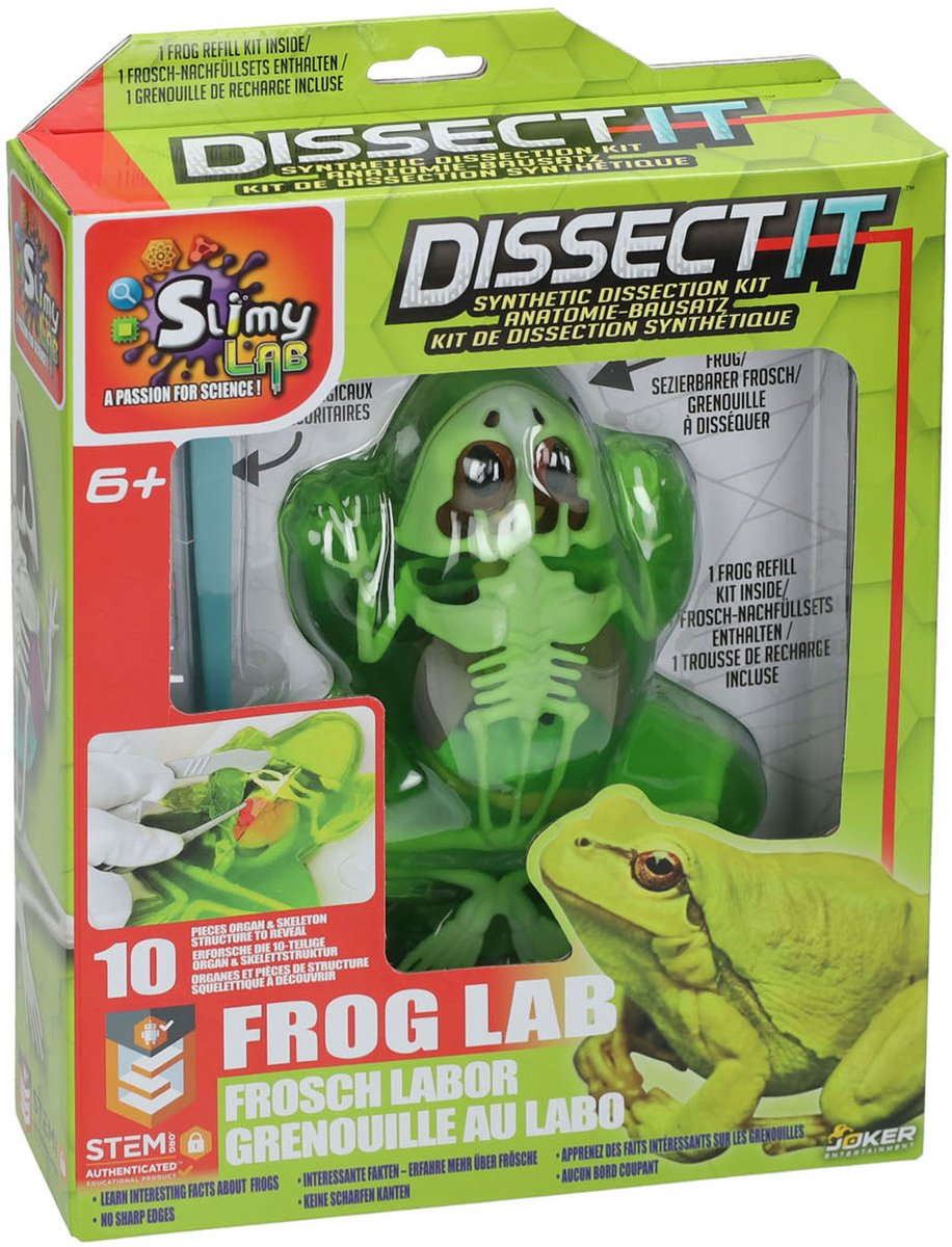 Schleimiges Labor seziert – es seziert einen Frosch