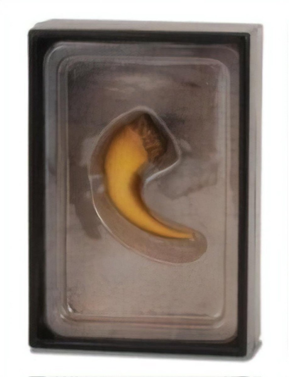 Collecta Figuren-Geschenkset – Baryonyx-Klaue