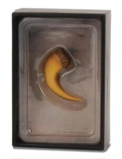 Collecta Figuren-Geschenkset – Baryonyx-Klaue