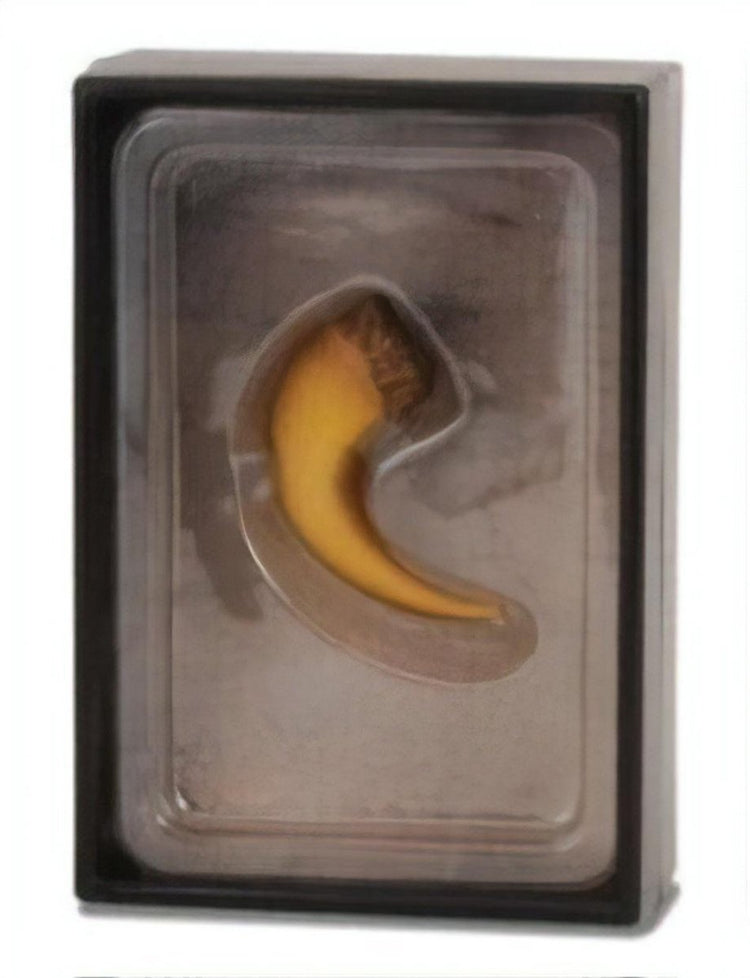 Collecta Figuren-Geschenkset – Baryonyx-Klaue