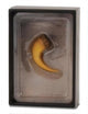 Collecta Figuren-Geschenkset – Baryonyx-Klaue